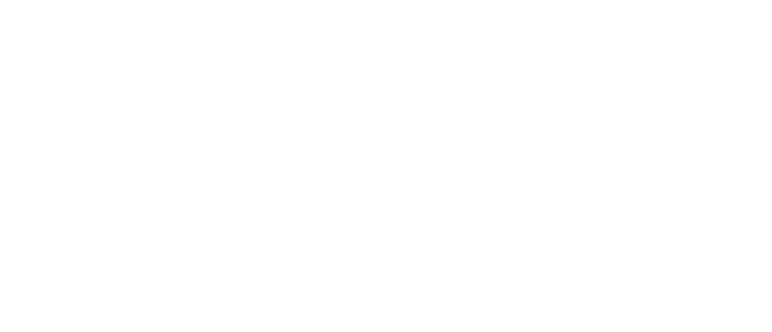 logo-white-userInsights